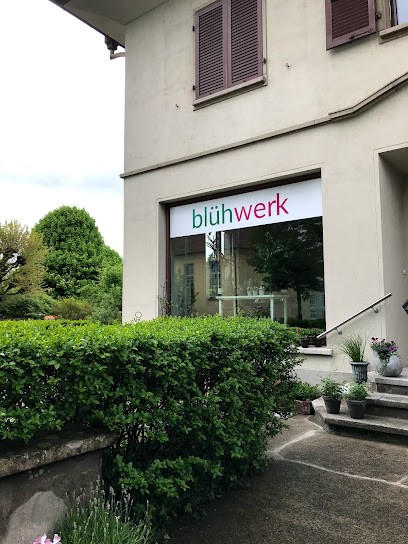 Blühwerk, Blumenladen in Lenzburg