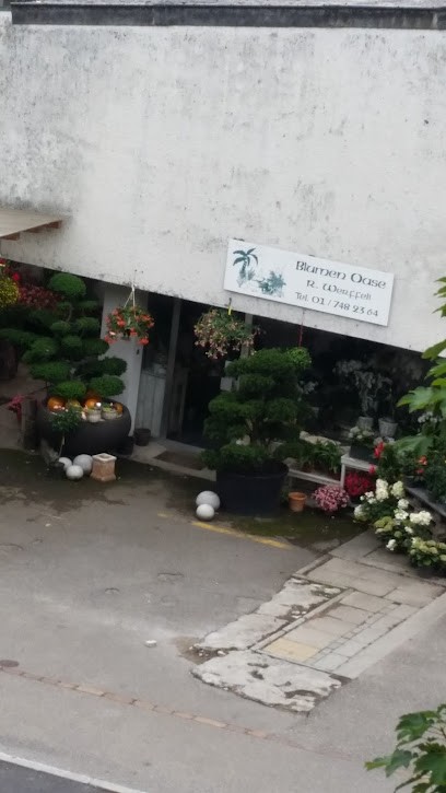 Blumen Oase, Blumenladen in Oetwil an der Limmat
