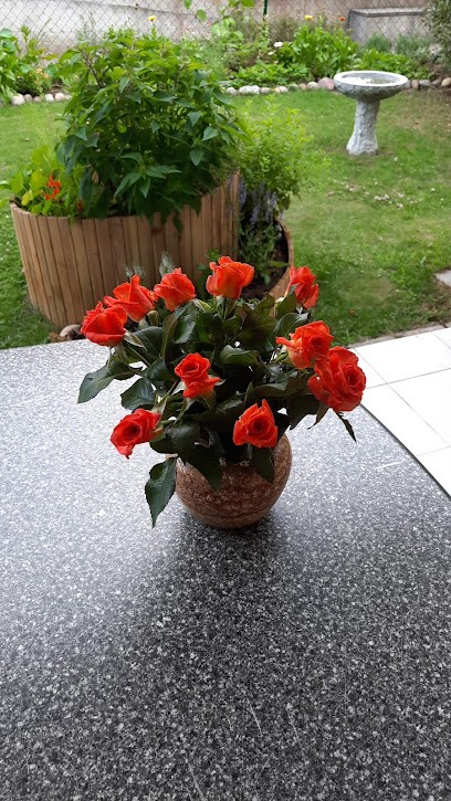 Rosen Meyer Irene, Blumenladen in Rafz