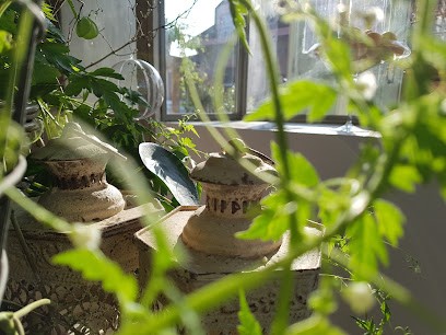 la fleur du coin Sàrl, Blumenladen in Romont