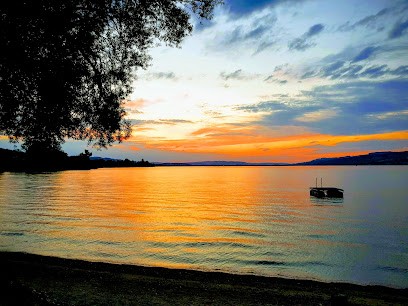 Widmer Klara's Bluemehüsli, Blumenladen in Sempach