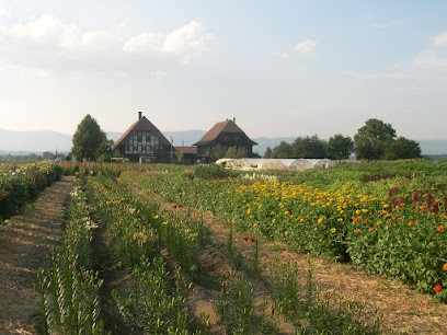 Blumen Fankhauser, Blumenladen in Utzenstorf