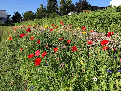 Blumen Zum Selber Schneiden, Blumenladen in Widnau