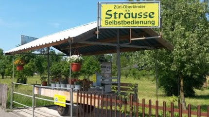 Züri Oberländer Sträusse GmbH, Blumenladen in Russikon