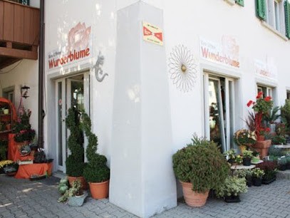Wunderblume GmbH, Blumenladen in Wangen-Brüttisellen
