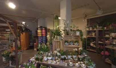 Bluemehuus Mötteli + Co., Blumenladen in Turbenthal