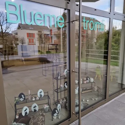 Bluemetröimli, Blumenladen in Gontenschwil