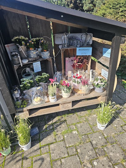 Blodwen Böss Kreativ Art, Blumenladen in Meisterschwanden