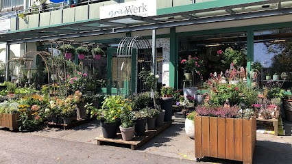grünWerk Altstätten GmbH, Blumenladen in Altstätten
