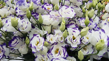 Blumen Diana, Blumenladen in Löhningen