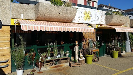 L'Oxalis, Blumenladen in Courtepin