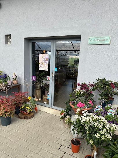 Roussillon Fleurs, Blumenladen in Meyrin