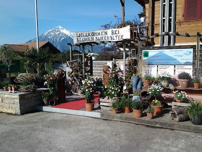 Blumen Burkhalter, Blumenladen in Sigriswil