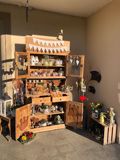 Blumen, die blühen, Blumenladen in Wengi