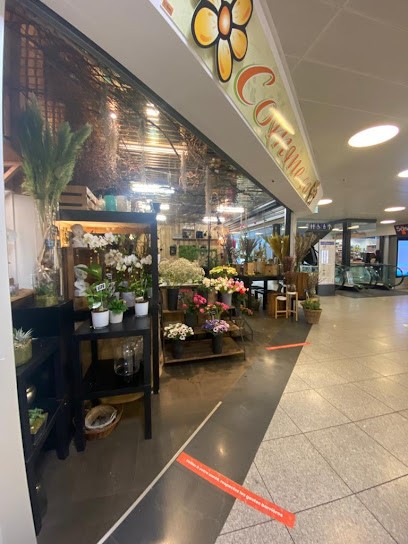 Comme ça - Fleuriste, Blumenladen in Thônex