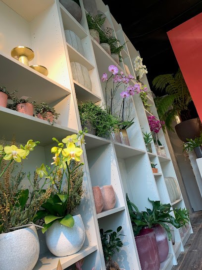 von Arx Blumen & Garten, Blumenladen in Lenzburg