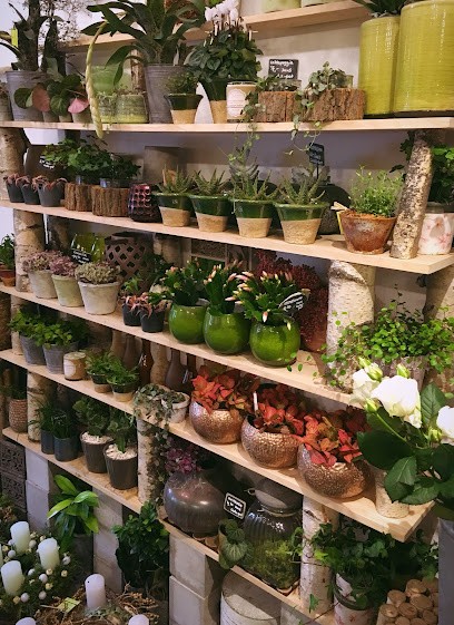 Papyrus fleuriste, Blumenladen in Morges