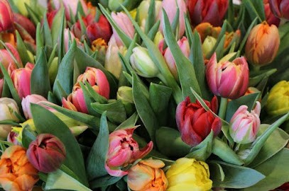 Gärtnerei Forster AG, Blumenladen in Wünnewil-Flamatt