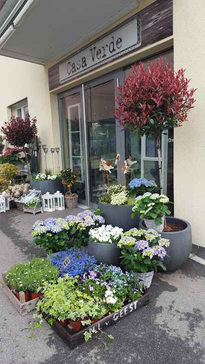 Casa Verde Blumen GmbH, Blumenladen in Oberentfelden
