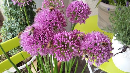 Blumen Strub, Blumenladen in Weesen