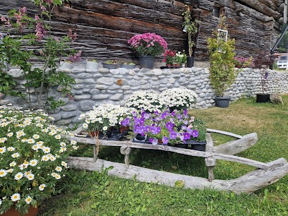 Sampaguita Horticultura Mustér, Blumenladen in Disentis/Mustér