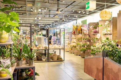 fiori 3000 | Vezia, Blumenladen in Vezia