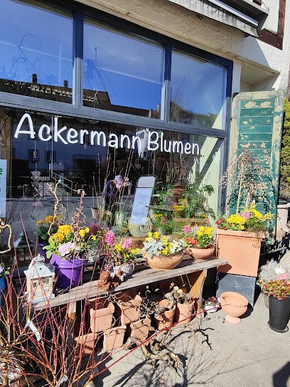Ackermann Blumen Schleitheim, Blumenladen in Schleitheim