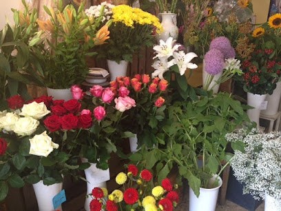 Agra-Fleur, Blumenladen in Préverenges