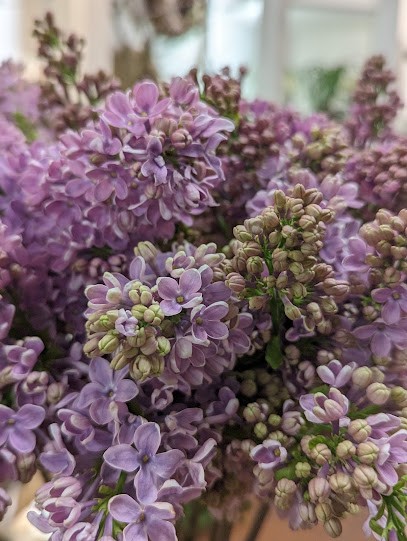 Blueme Werkstädtli GmbH, Blumenladen in Uznach