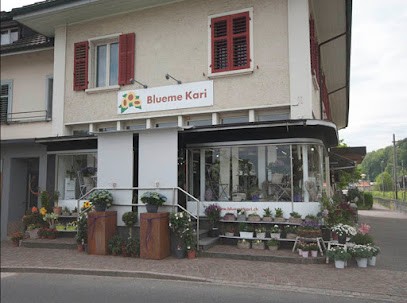 Blueme Kari AG, Blumenladen in Seon