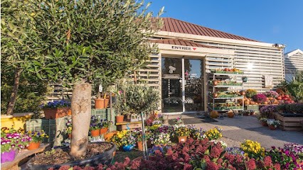 Gallay fleurs fruits & légumes, Blumenladen in Cartigny