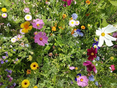 Natura in fiore di Bassi Silvia, Blumenladen in Sant'Antonino