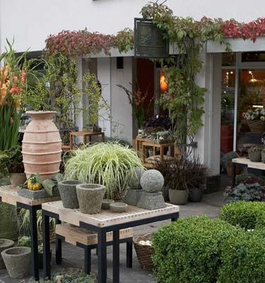 Blumengalerie Mattmann AG, Blumenladen in Hünenberg