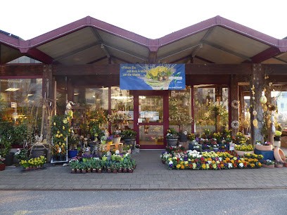Hospenthal - Kägi AG, Blumenladen in Untersiggenthal