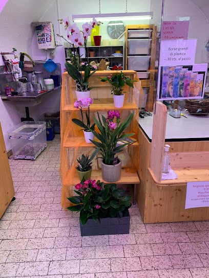 Compagnoni Giardiniere, Blumenladen in Poschiavo