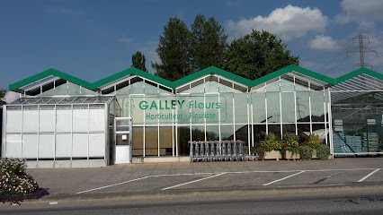 Galley fleurs, Blumenladen in Valbroye