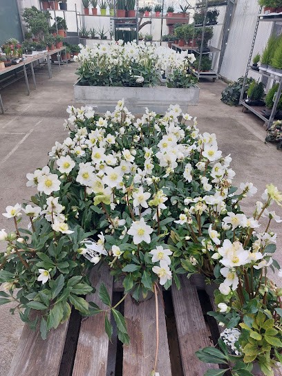 Plantes Et Fleurs SA, Blumenladen in Veyrier