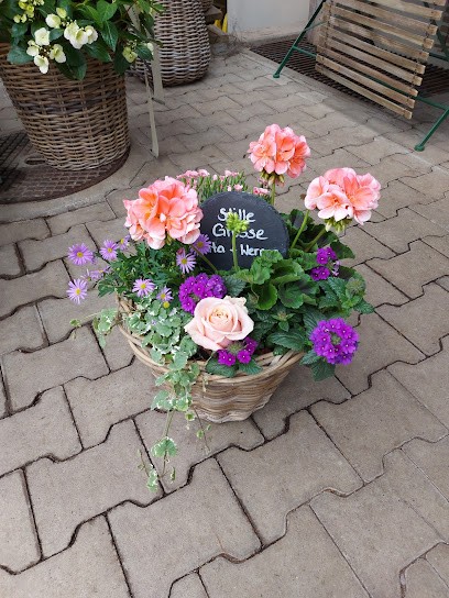 Blumengarten Und Gärtnerei, Blumenladen in Willisau