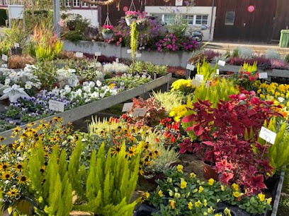 Blumen Spengler AG, Blumenladen in Greifensee