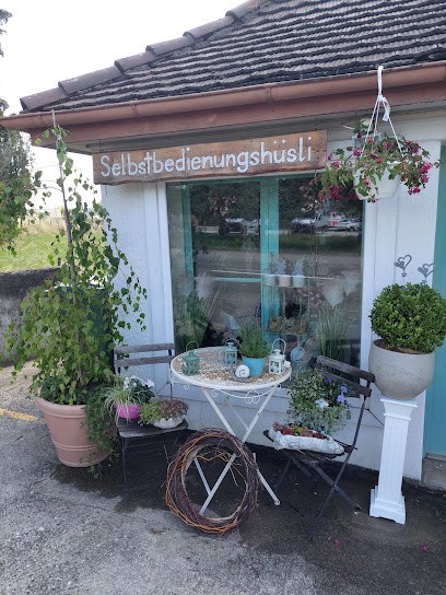 Romantic flor, Blumenladen in Urtenen-Schönbühl