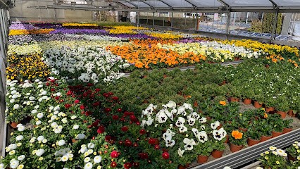 Arnet Gärtnerei und Blumenhaus, Blumenladen in Ettiswil